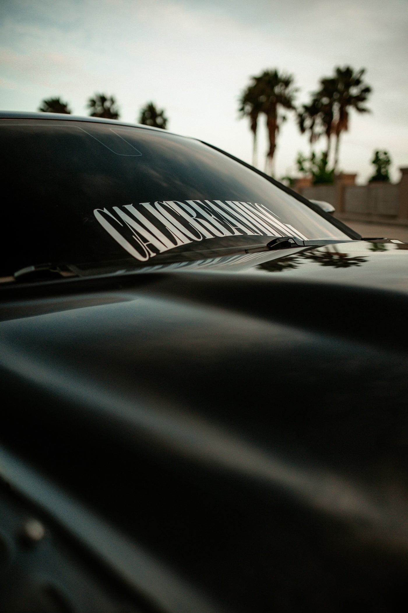 V4 BANNER